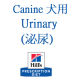 泌尿 Urinary