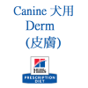 皮膚 Derm
