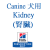 腎臟 Kidney 