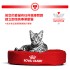 ROYAL CANIN® 成貓泌尿道處方（適量卡路里）3.5kg